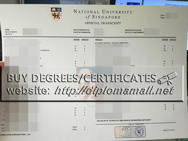 buy a National University of Singapore academic transcript