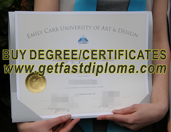 Emily Carr University of Art and Design Degree