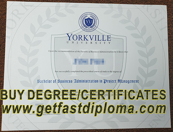Yorkville University degree sample