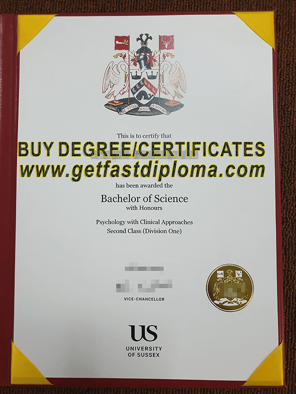  University of Sussex degree sample