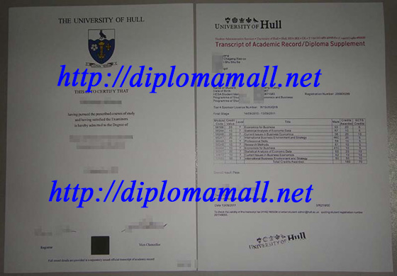 University of Hull diploma