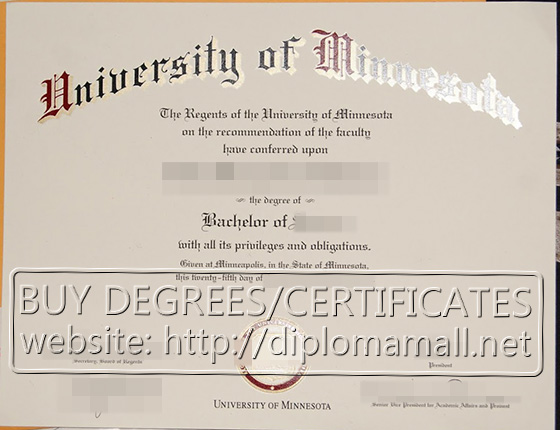  University of Minnesota degree