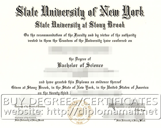 Stony Brook University degree