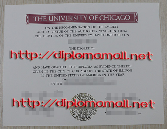 University Chicago  degree