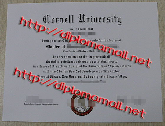 Cornell University master degree