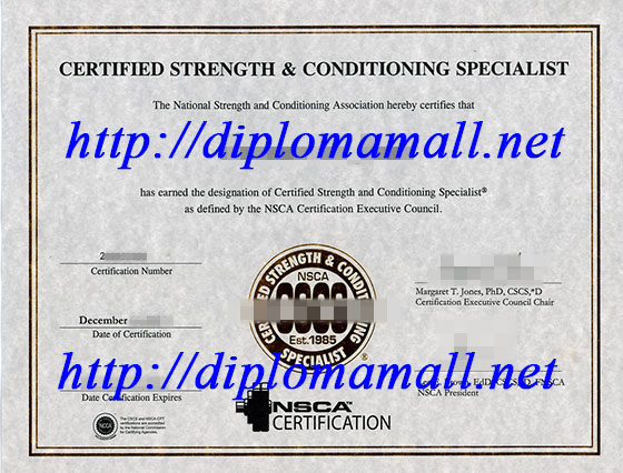  CSCS certificate in USA
