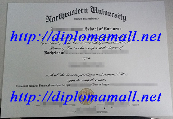 Northeastern University degree 