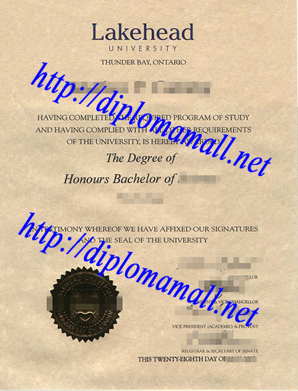  bachelor degree from Lakehead University