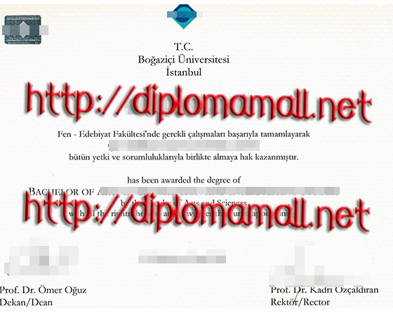Boğaziçi University degree